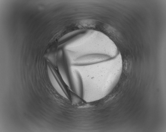 X0000082200915200702092357