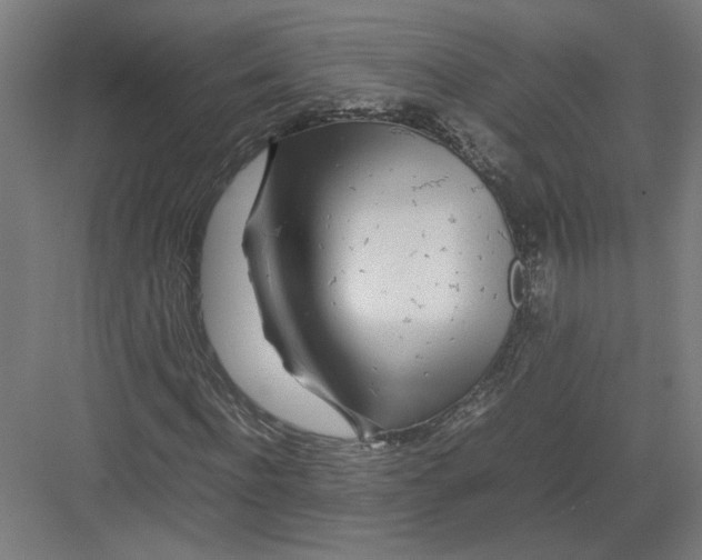 X0000082200916200702092357