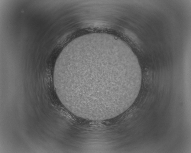 X0000082200918200702092357