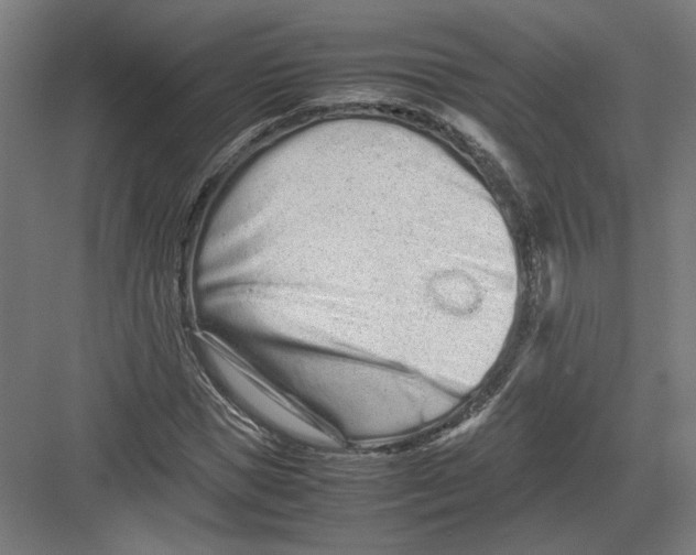 X0000082200921200702092357