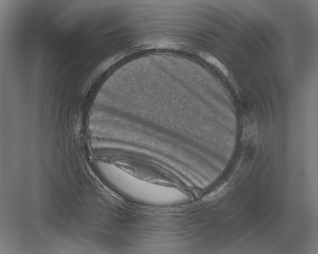 X0000082200922200702092357