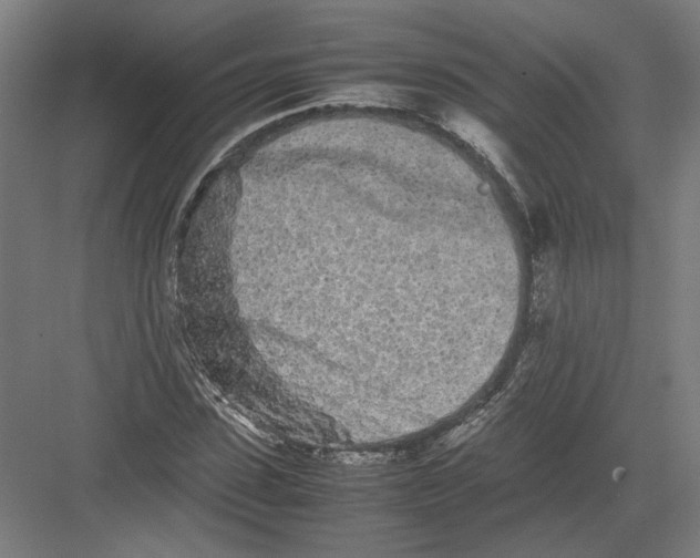 X0000082200923200702092357