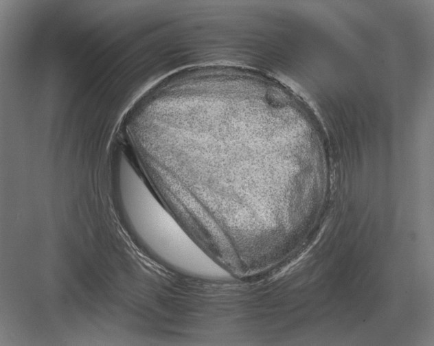 X0000082200925200702092357