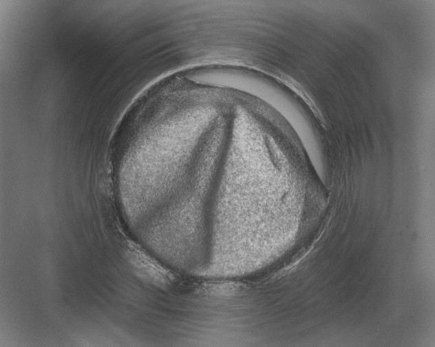 X0000082200926200702092357