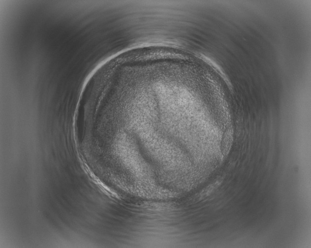 X0000082200928200702092357