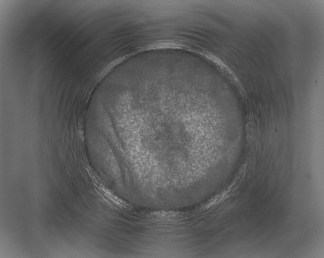 X0000082200929200702092357