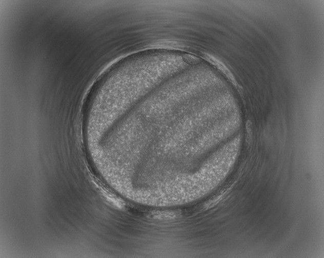 X0000082200931200702092357