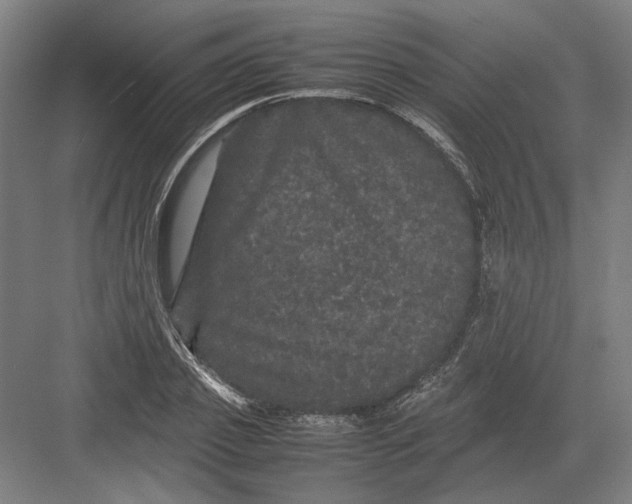 X0000082200933200702092357