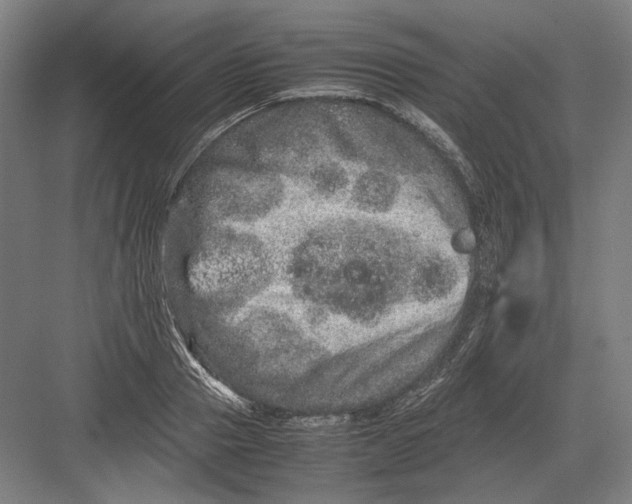 X0000082200937200702092357