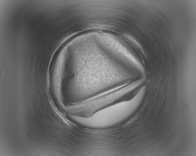 X0000082200940200702092357