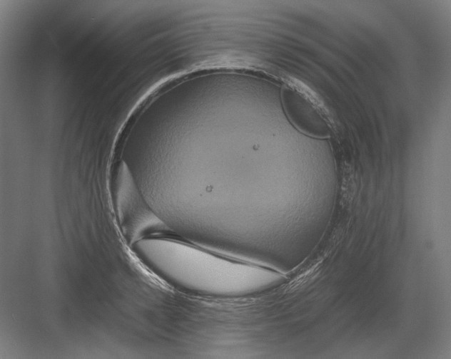 X0000082200942200702092357