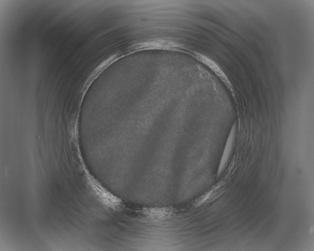 X0000082200946200702092357