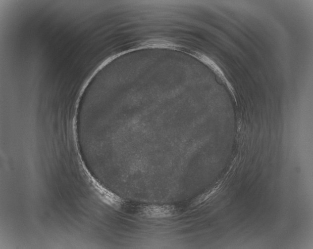 X0000082200947200702092357