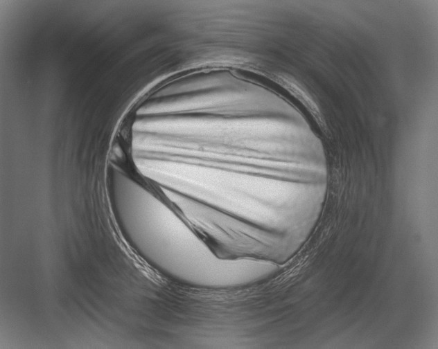 X0000082200948200702092357