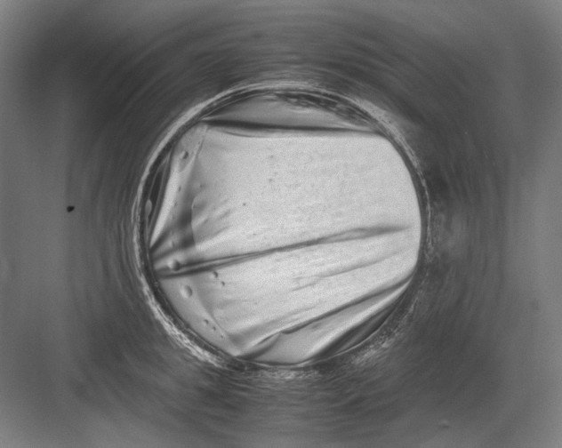 X0000082200949200702092357