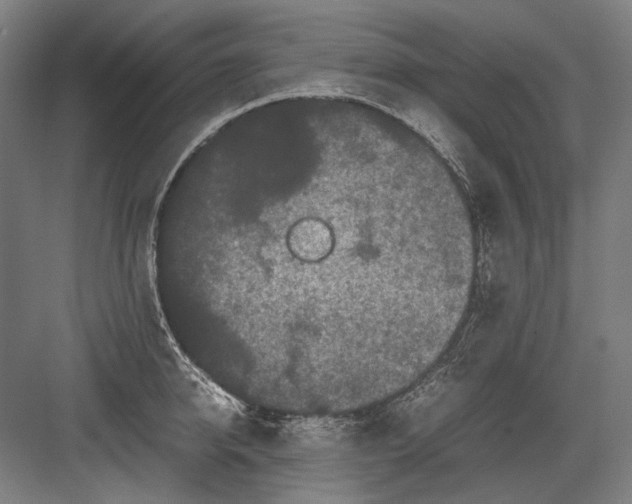 X0000082200950200702092357