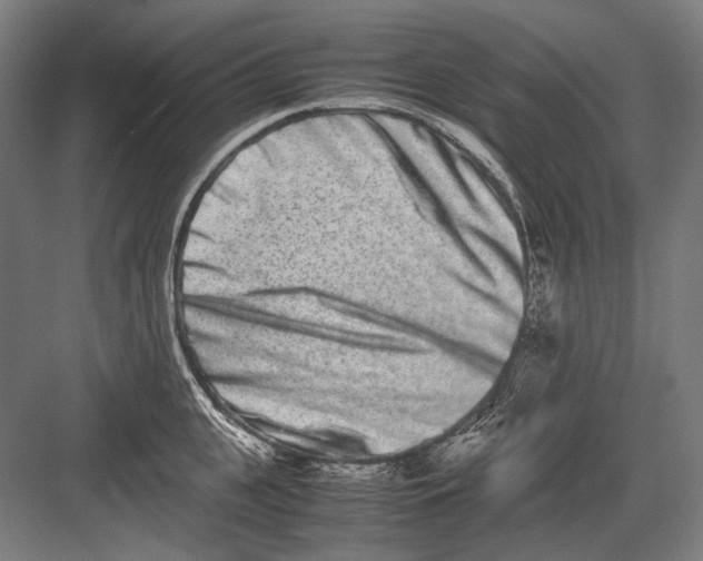 X0000082200951200702092357