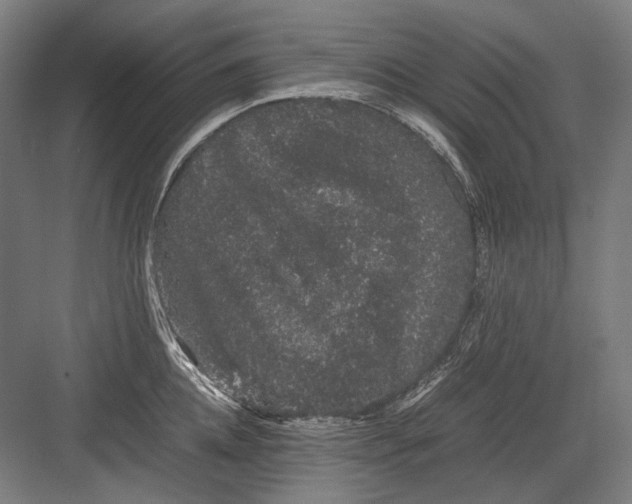 X0000082200952200702092357