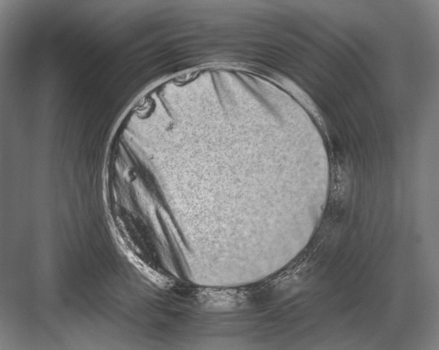 X0000082200955200702092358