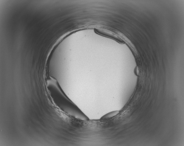 X0000082200956200702092358