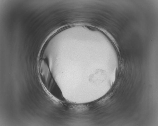 X0000082200957200702092358