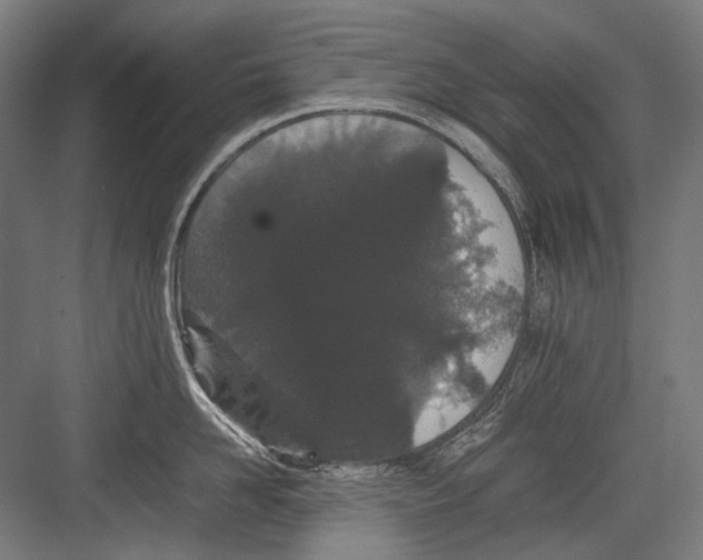 X0000082200958200702092358