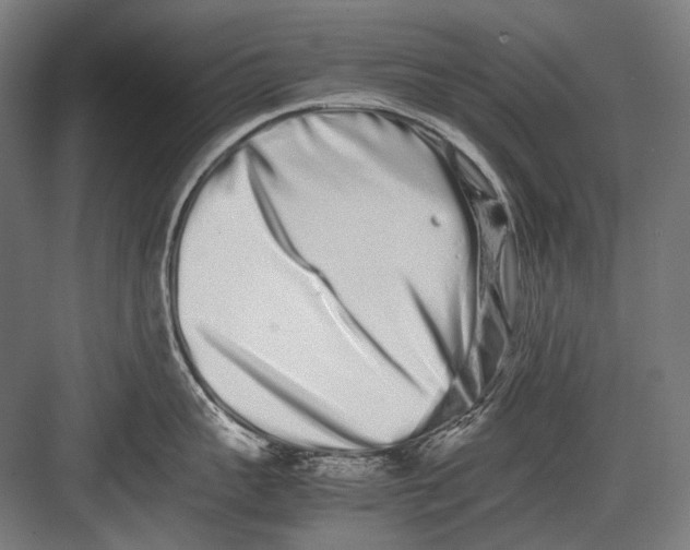 X0000082200959200702092358