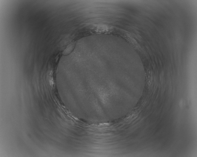 X0000082200962200702092357