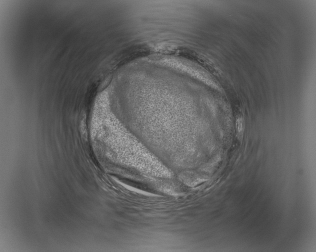 X0000082200963200702092357