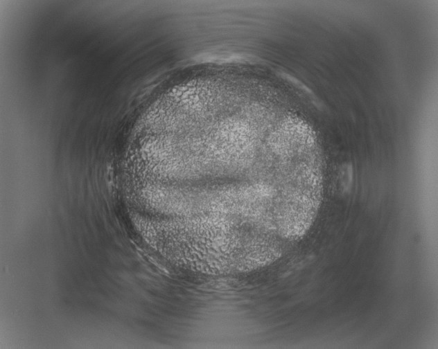 X0000082200966200702092357