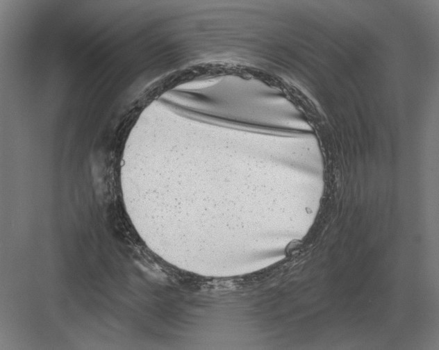 X0000082200968200702092357