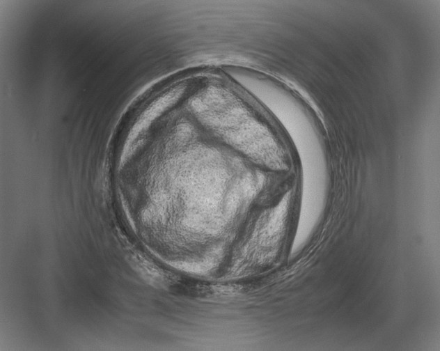 X0000082200975200702092357