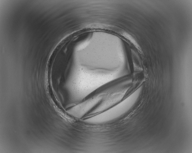 X0000082200976200702092357