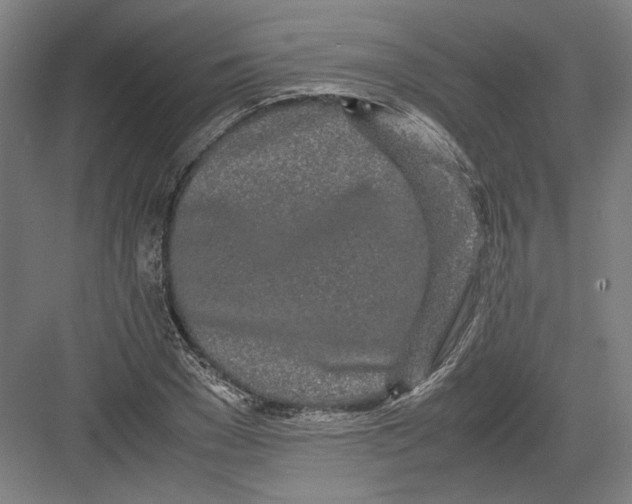 X0000082200977200702092357