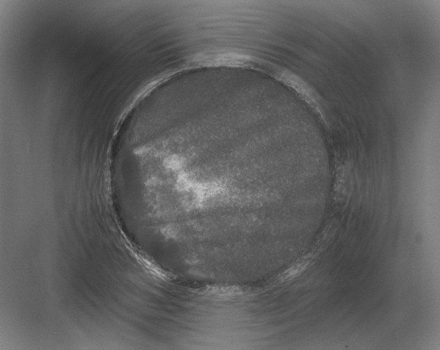 X0000082200978200702092357