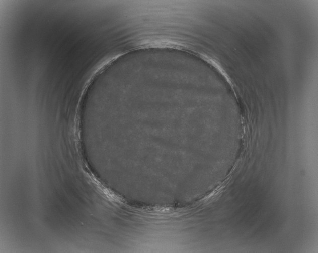 X0000082200979200702092357