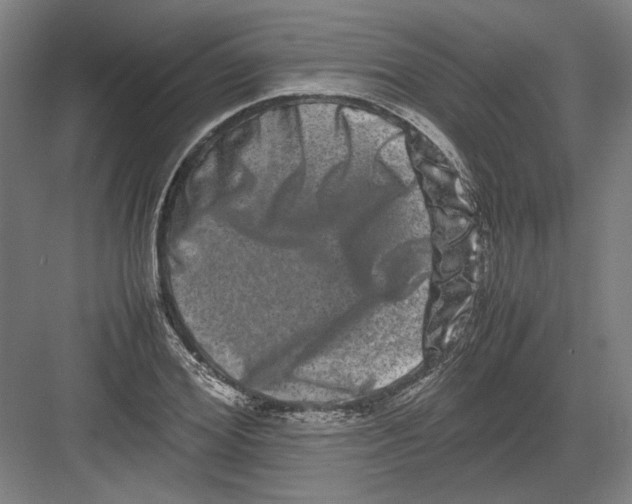 X0000082200980200702092356