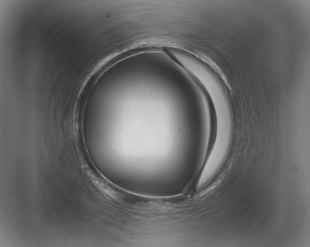 X0000082200981200702092356