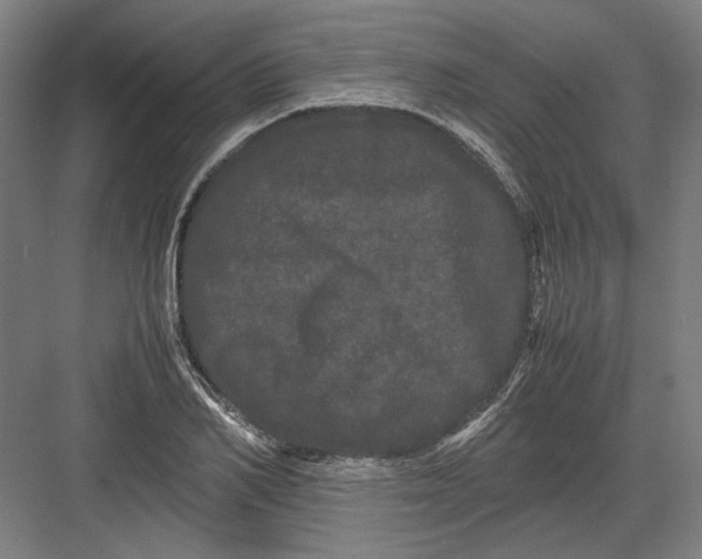 X0000082200982200702092356