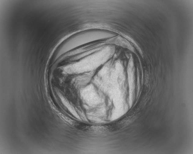 X0000082200983200702092356