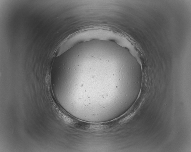 X0000082200985200702092356