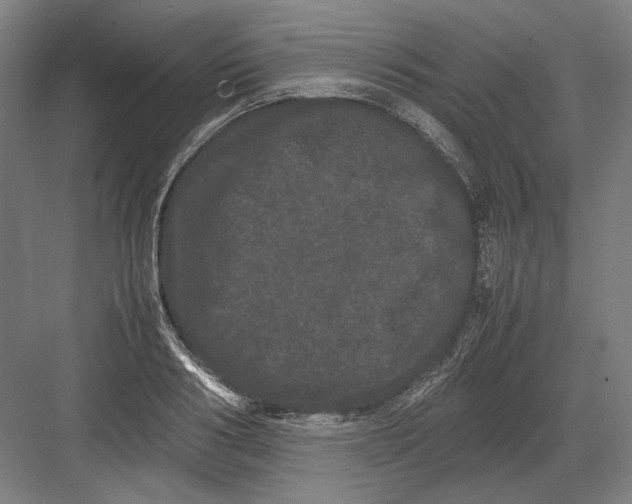 X0000082200986200702092356