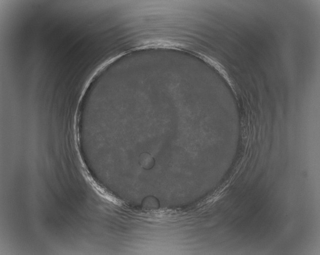 X0000082200987200702092356