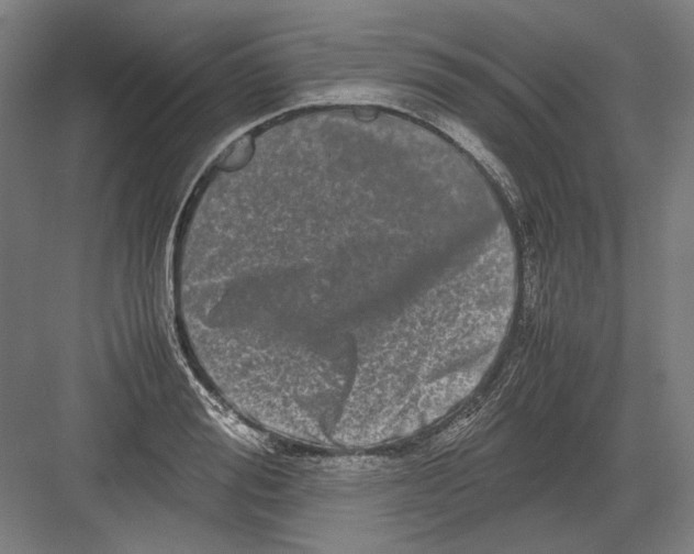 X0000082200988200702092356