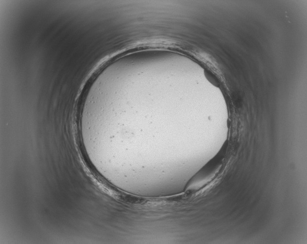 X0000082200989200702092356