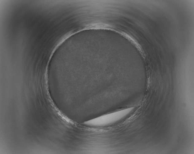 X0000082200990200702092356