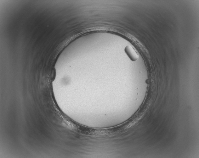 X0000082200993200702092356