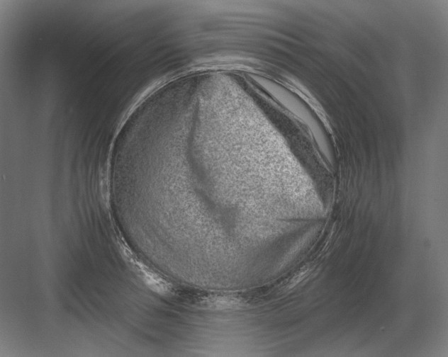 X0000082200994200702092356