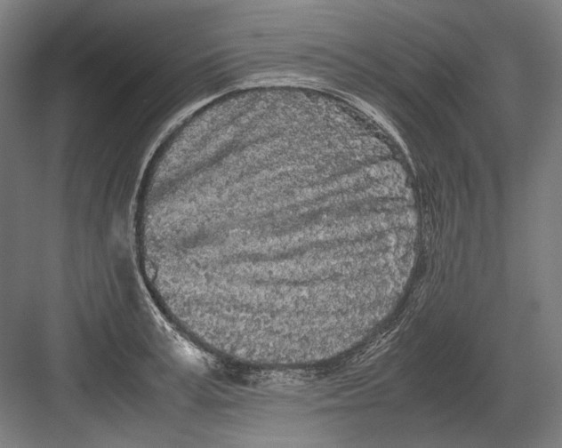 X0000082200995200702092356