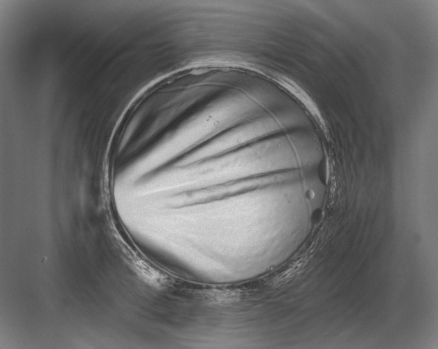 X0000082200996200702092356